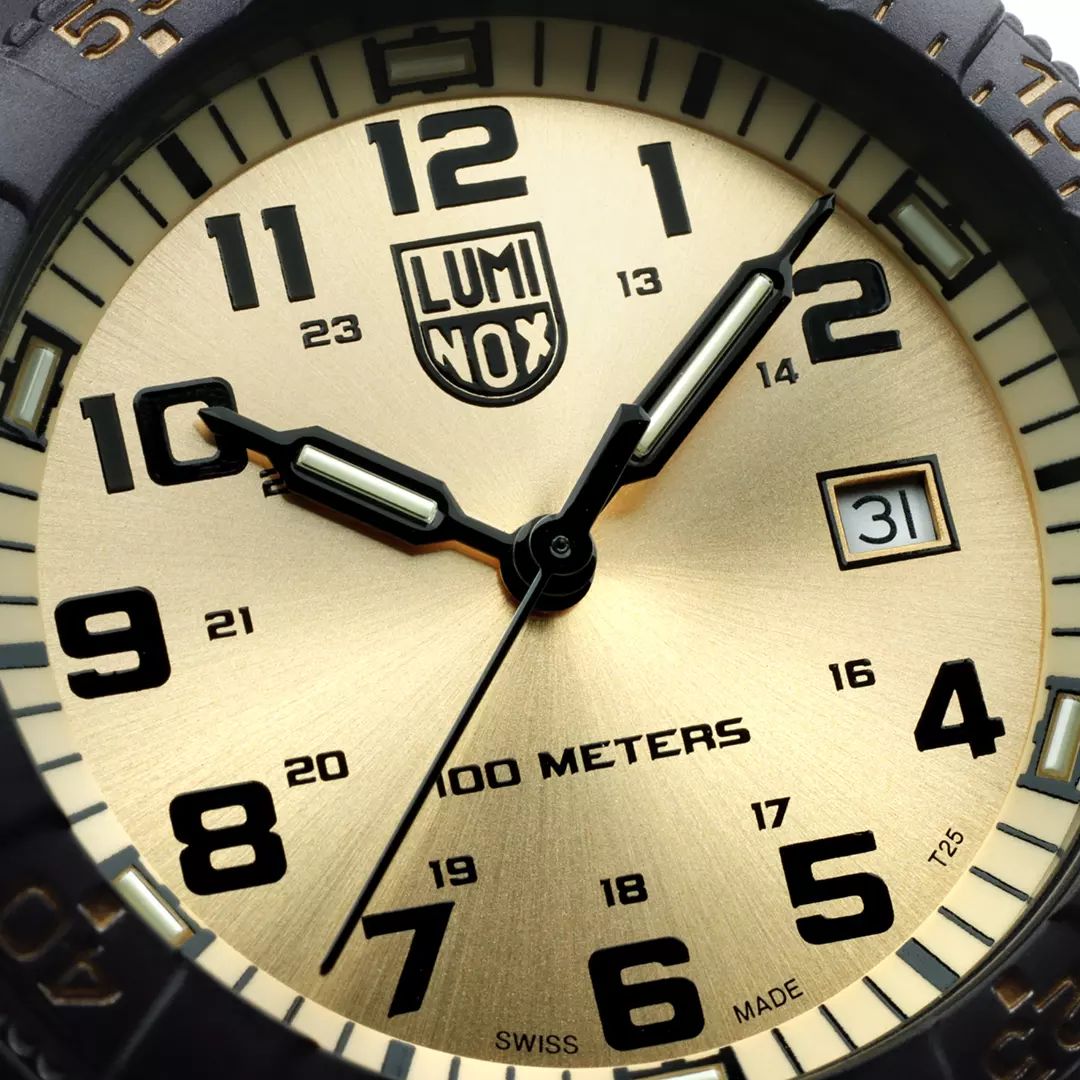 What's Trending - Dial Colours