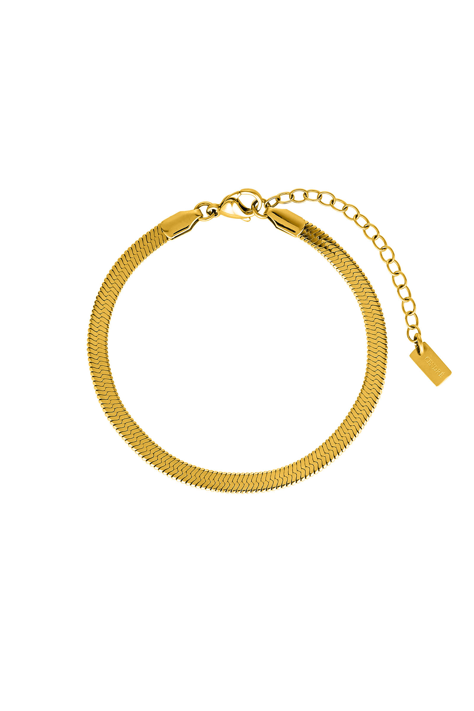 Cendré Beau Snake gold bracelet on a white background