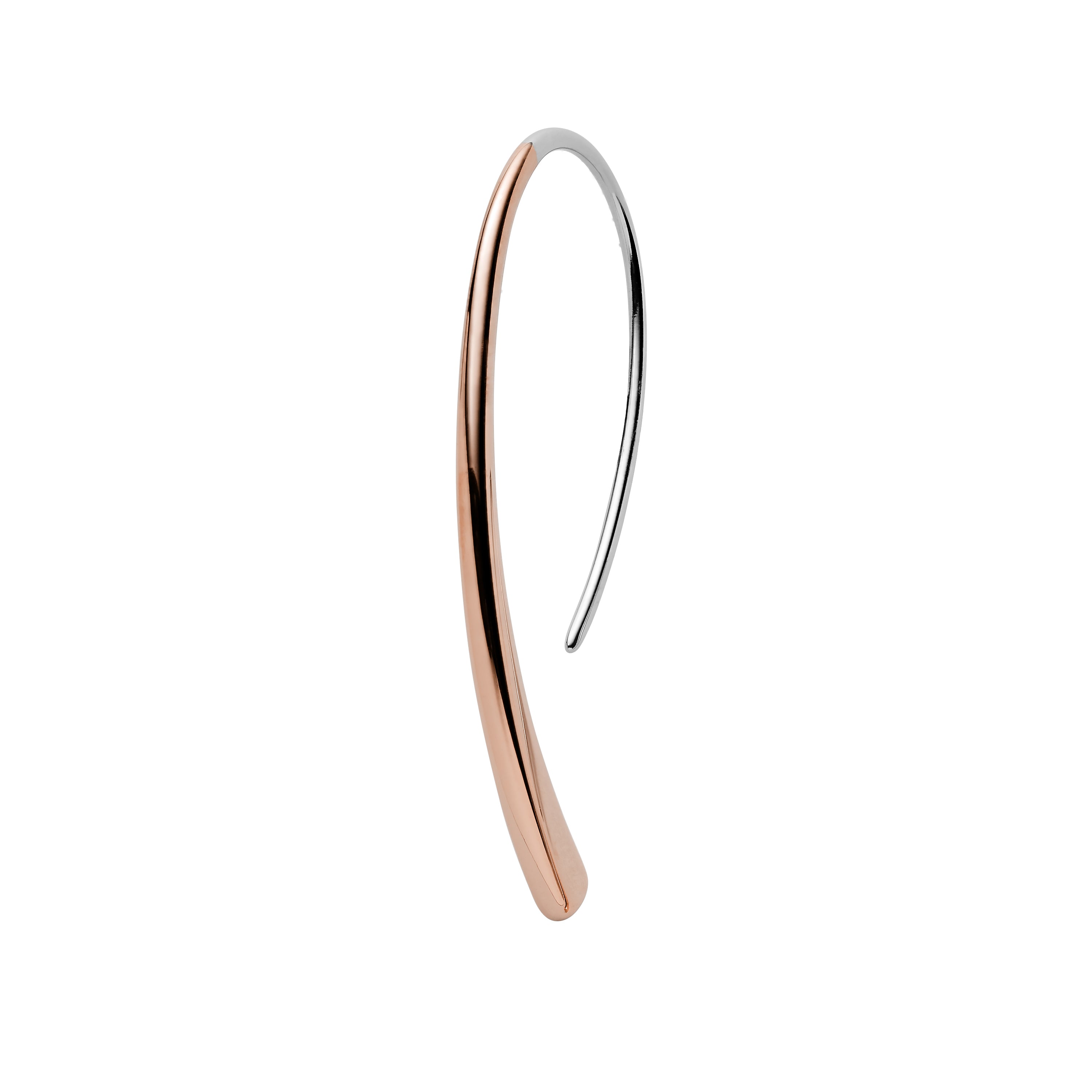 Skagen Kariana Two Tone Earring SKJ1212998