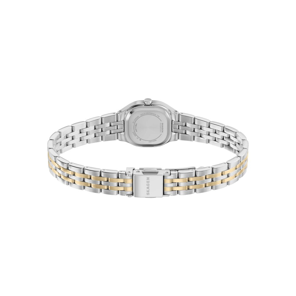 Skagen Mellem Micro Two-Hand Two-Tone Stainless Steel Women's Watch SKW3176