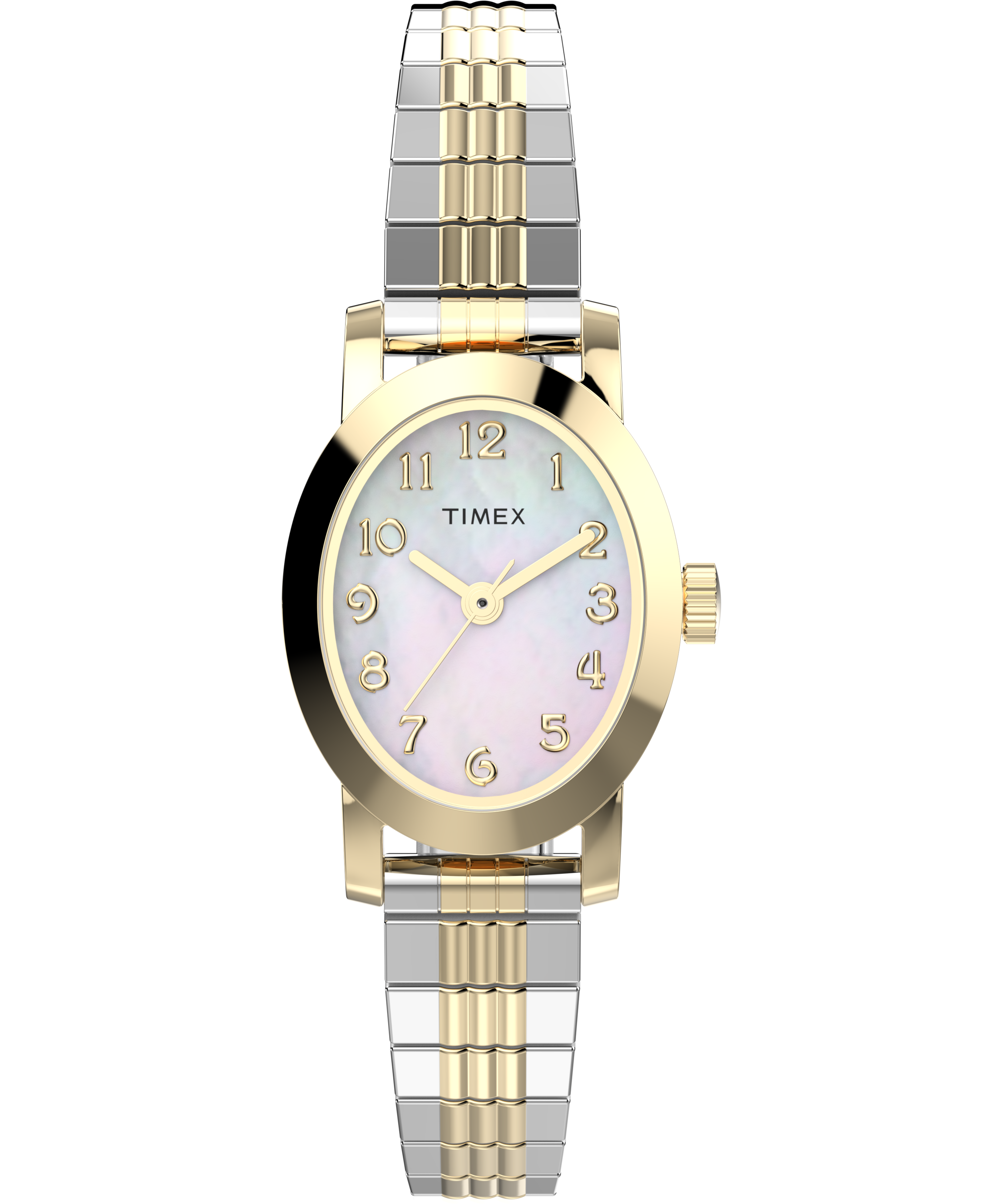 Timex Cavatina Two Toned Case and Band Women's Watch TW2W70000