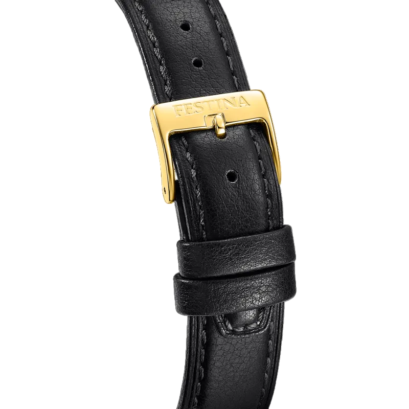 Festina Silver Dial Black Leather Strap Men's Watch F20780/1