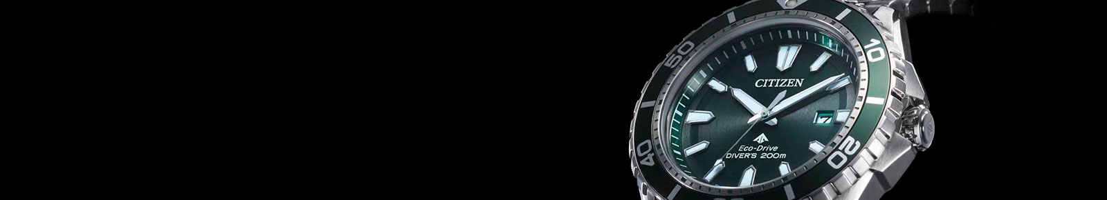 Citizen Watch Banner