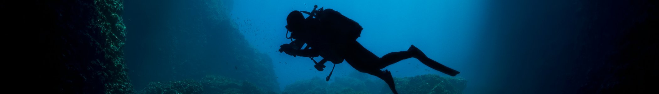 Diver's Watches