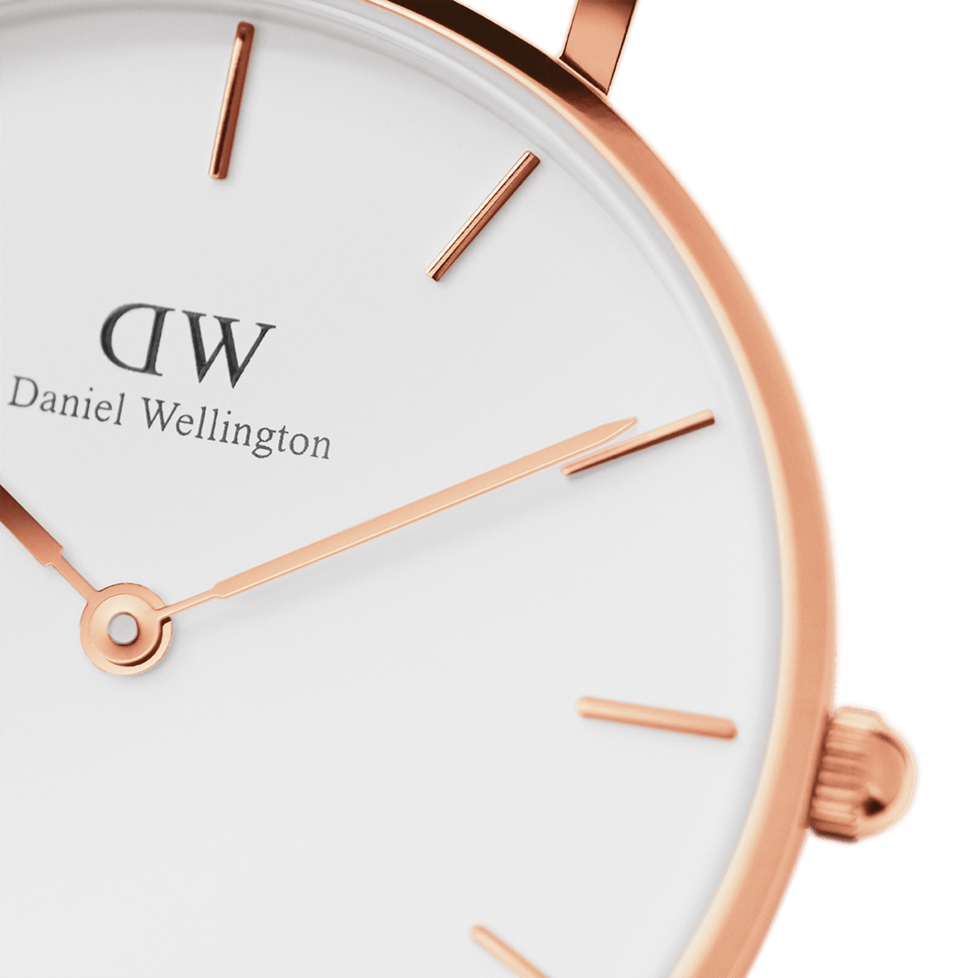 Daniel Wellington Petite Bondi 28mm Watch DW00100249 – Watch