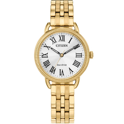 Citizen eco drive wr100 women's watch online