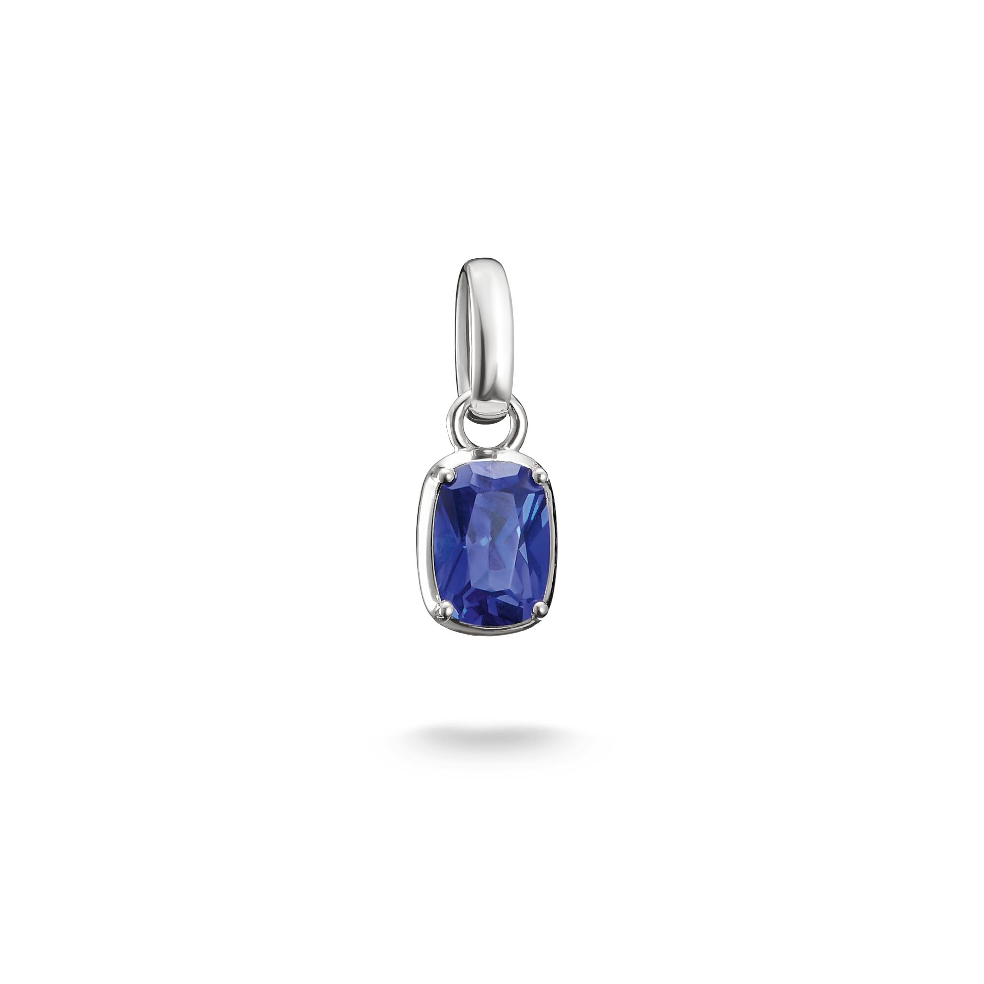 THOMAS SABO Connect Charm Birthstone September