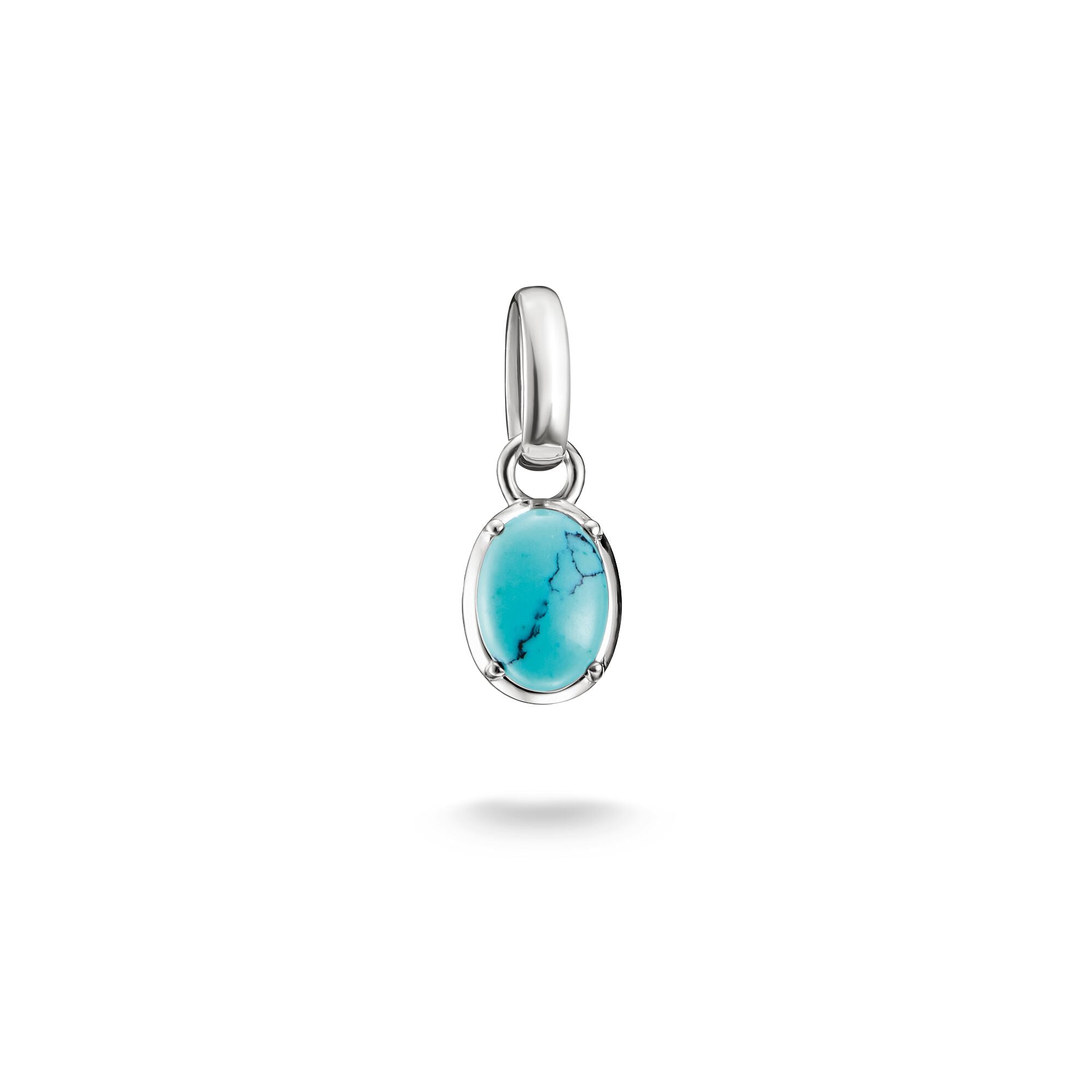THOMAS SABO Connect Charm Birthstone December