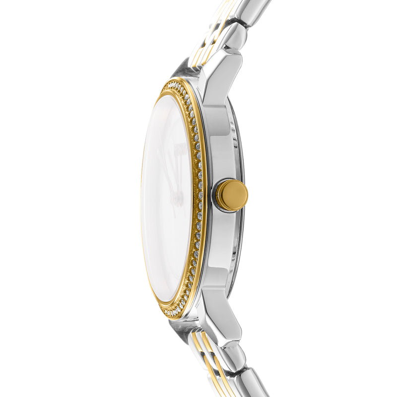 DKNY Astoria Glitz Silver Dial Stainless Steel Watch DK1L065M0065