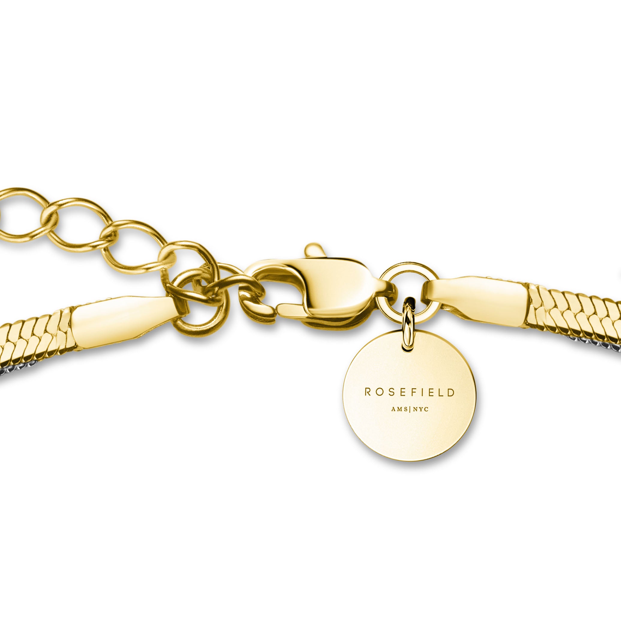 Rosefield Snake  Duotone  Necklace JNSCD-J676