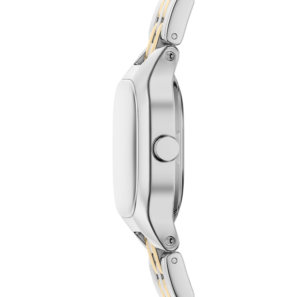 Skagen Mellem Micro Two-Hand Two-Tone Stainless Steel Women's Watch SKW3176