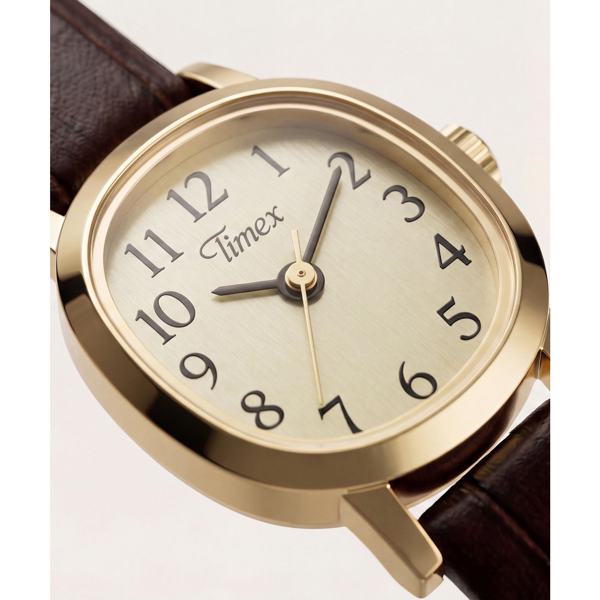 Timex Cavatina Mini TW2Y87700 champagne dial on a brown leather strap, dial close-up