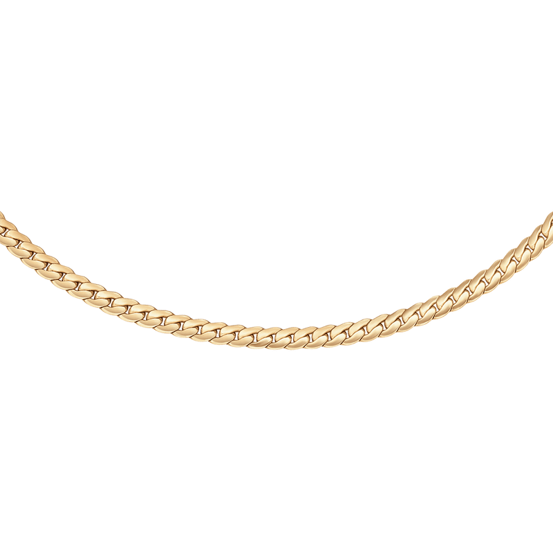 Flat Chain Gold Necklace DW00400548