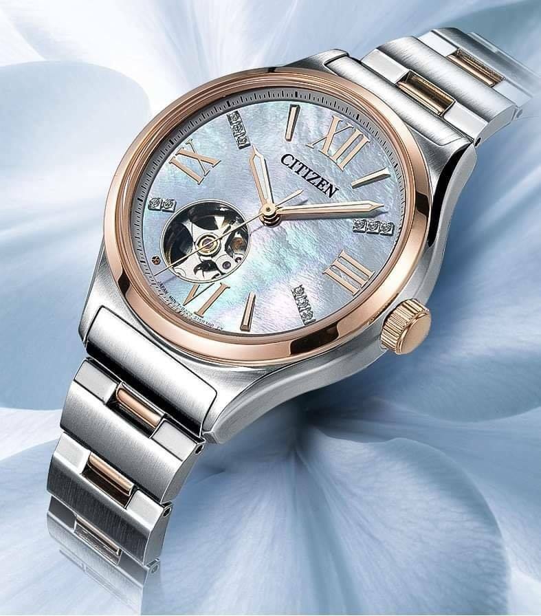 Citizen Stainless Steel Silver Dial Women's Watch
