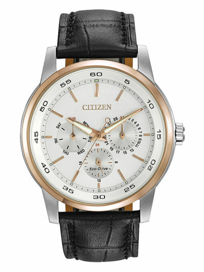 Citizen Eco-Drive Two Tone Leather Strap Mens Watch