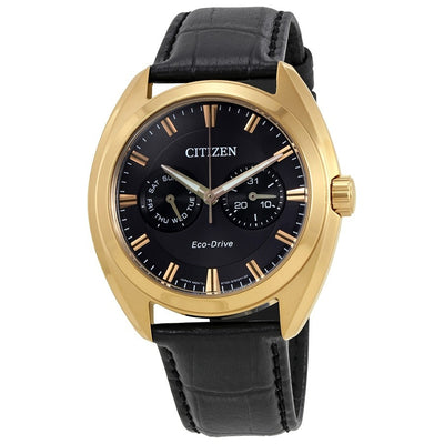 Citizen Paradex Black Dial Black Leather Mens Watch