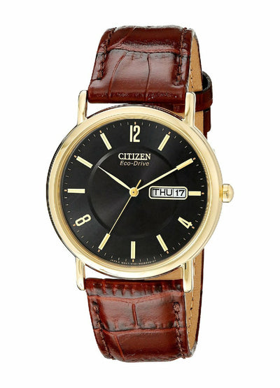 Citizen Eco Drive Black Dial Gold-Tone Stainless Steel Brown Leather Mens