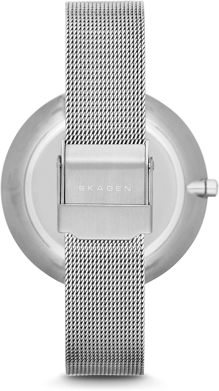 Skagen SKW2140 Silver Dial Womens Watch